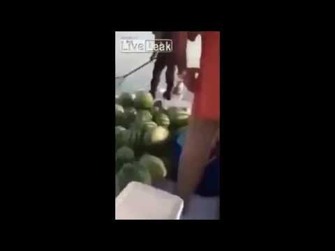 سعوديان يصطادان البطيخ من المياه