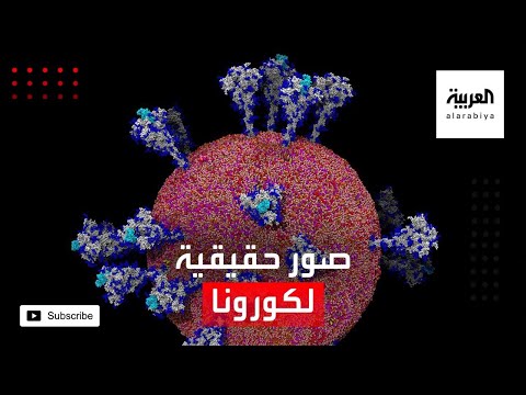 شاهد صور تكشف لغز فيروس كورونا المستجد