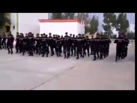 الدفاع المدني الجزائري خلال احتفالاته بتخرج دفعة جديدة