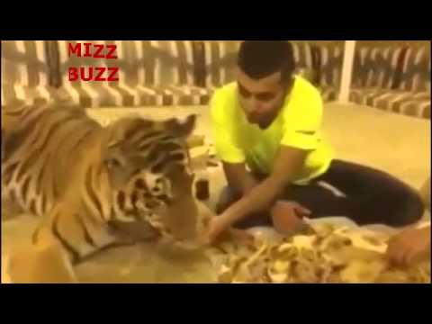 شاب سعودي يأكل مع الفهد من طعام واحد