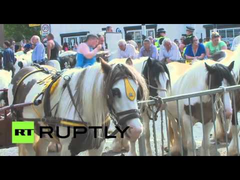 مهرجان تجاري للخيول في مدينة أبلبي الإنكليزية